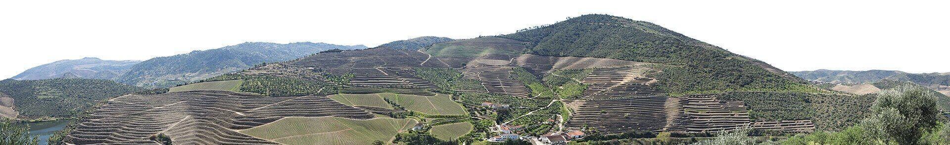 Quinta de Vargellas, Port wine vineyards in the Douro Valley,  Portugal